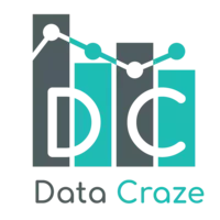 Data Craze Logo